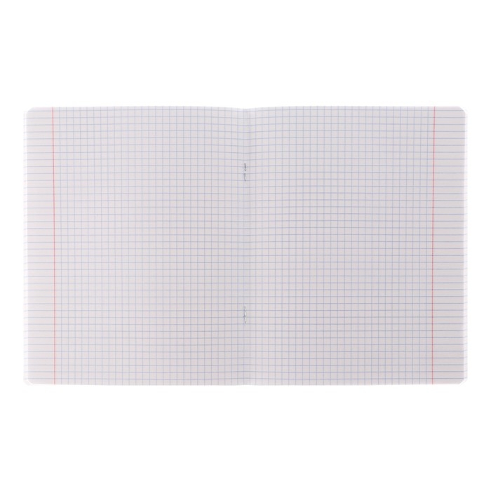 Тетрадь 48 листов в клетку Тетрадь 48 листов в клетку "Притяжение", обложка мелованный картон, матовая ламинация, скругленные углы, 5В, МИКС