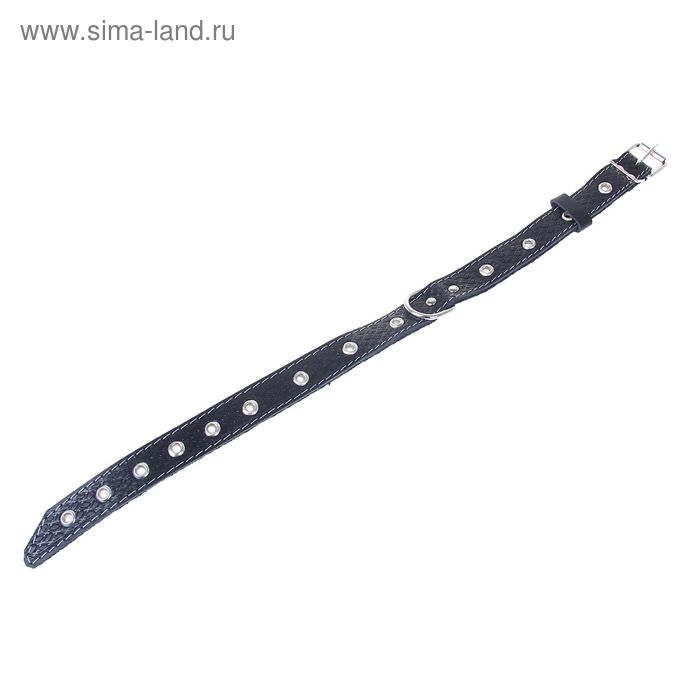 Ошейник кожаный тисненый на фетре, 54 х 2,5 см, безразмерный, микс цветов Ошейник кожаный тисненый на фетре, 54 х 2,5 см, безразмерный, микс цветов