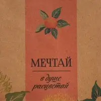 Пакет подарочный крафтовый, упаковка, &laquo;Мечтай&raquo;, ML 23&times;27&times;11.5 см