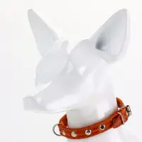 Ошейник кожаный однослойный украшенный, 1,2 см, ОШ 20-26 см микс цветов Ошейник кожаный однослойный украшенный, 1,2 см, ОШ 20-26 см микс цветов