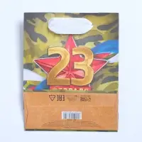Пакет подарочный крафтовый, упаковка, «Красная звезда», 12 х 15 х 5.5 см