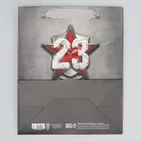 Пакет подарочный ламинированный, упаковка, &laquo;С 23 февраля&raquo;, ML 23&times;27&times;11.5 см