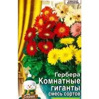 Семена цветов Гербера Комнатные гиганты, смесь сортов Мн Зимний сад, Ц/П,0,04 г Семена цветов Гербера Комнатные гиганты, смесь сортов Мн Зимний сад, Ц/П,0,04 г