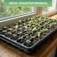 Кассета для рассады Greengo на 105 ячеек, по 20 мл, из пластика, чёрная, 55&times;29.5&times;3 см