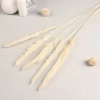 Декор сухоцвет &laquo;Кортадерия&raquo;, h=65 см, фасовка 5 шт., цена за 1 шт., белый