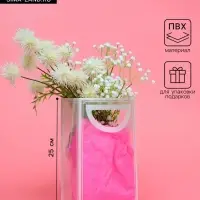 Пакет ПП с вырубной ручкой, прозрачный, 25&times;19&times;9 см, белый