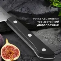 Нож кухонный овощной Magistro Hinshitsu, нержавеющая сталь, лезвие 10.6 см, длина 24 см, чёрный