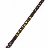 Ошейник однослойный "Красотка", 2.5 см, тиснение фольгой, микс цветов Ошейник однослойный "Красотка", 2.5 см, тиснение фольгой, микс цветов