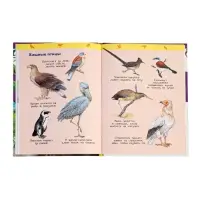 Детская энциклопедия &laquo;Дикие животные&raquo;, 48 стр.