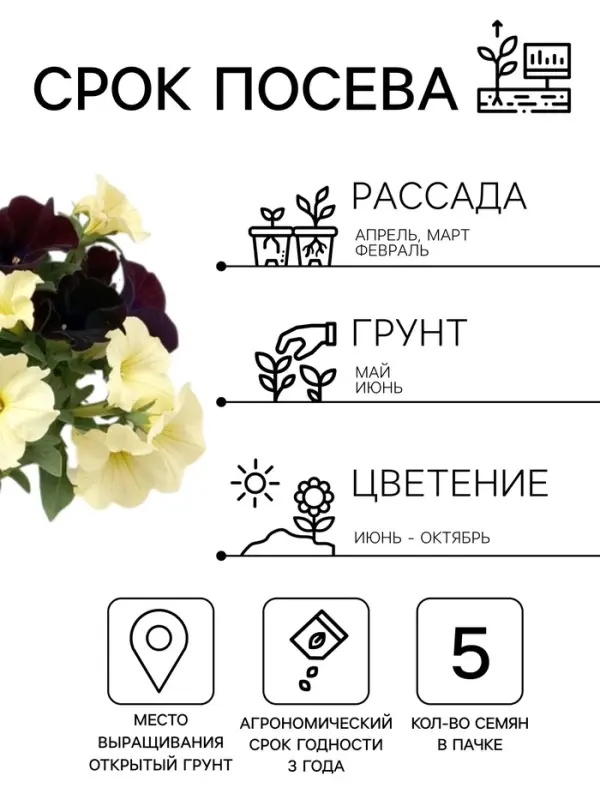 Семена цветов Петуния гибридная &laquo;Софистика Блекберри энд лайм грин&raquo; 5 шт.