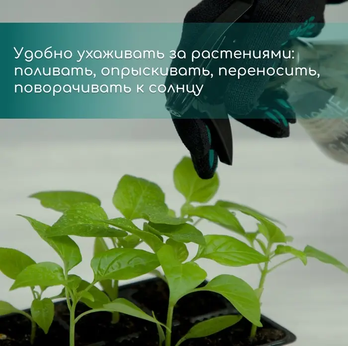 Кассета для выращивания рассады, на 200 ячеек, по 7 мл, из пластика, чёрная, 55&times;28&times;4 см, Greengo