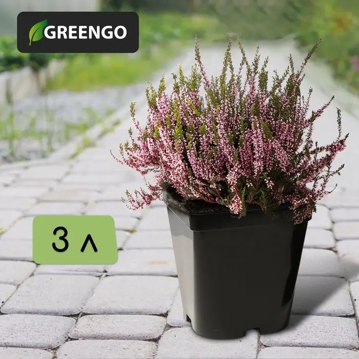 Горшок для рассады, 3 л, d=16 см, h=16 см, чёрный, Greengo Горшок для рассады, 3 л, d=16 см, h=16 см, чёрный, Greengo