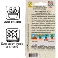 Семена Цветов Гипоэстес "Пинк Полка", ц/п, 0,03 г
