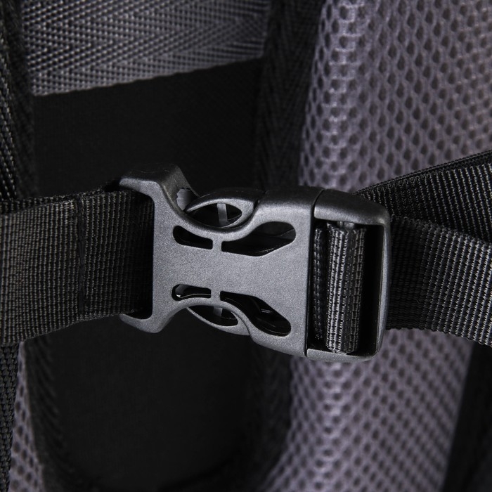 Рюкзак школьный, эргономичная спинка «1 сентября: SVOBODA» 39x32x14 см Рюкзак школьный, эргономичная спинка «1 сентября: SVOBODA» 39x32x14 см