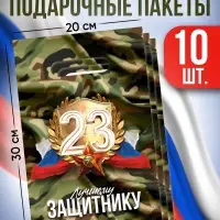Пакеты подарочные полиэтиленовые &laquo;23 Февраля&raquo;, набор 10 шт., 20&times;30 см