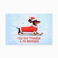 Наклейка на бутылку &laquo;Год был трындец, а ты молодец&raquo;, 12&times;8