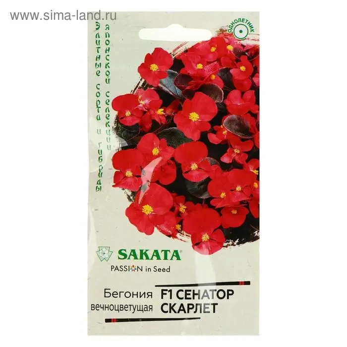 Семена цветов Бегония  Семена цветов Бегония "Сенатор Скарлет", ц/п,  F1,  вечноцветущая, серия Элитная клумба 4 шт