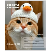 Тетрадь КЛЕТКА 24л. ЗАБАВНЫЕ КОТЫ - 6 цвет.мелов.обл.,ассорти 24-0896