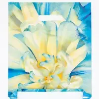 Пакет подарочный &laquo;Молли&raquo;, полиэтиленовый с вырубной ручкой, 30&times;37 см, 90 мкм