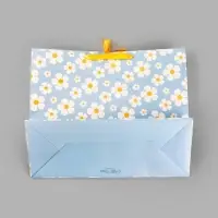 Пакет подарочный &laquo;Веселье&raquo;, XL, 49 х 40 х 19 см