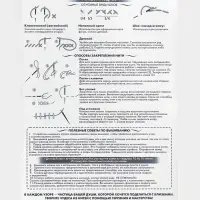 Вышивка крестиком &laquo;Пушистый котик и цыплята&raquo;, набор для творчества, 16&times;18 см