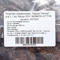 Георгина декоративная "Гарден Уандер", р-р I, 1 шт, Весна 2024 ЭКОНОМ 4272768