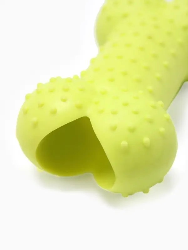 Жевательная игрушка для собак &laquo;Кость малая&raquo;, 8.5 см, TPR, салатовая