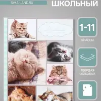 Дневник универсальный для 1-11 классов, &laquo;Котята&raquo;, твердая обложка 7БЦ, глянцевая ламинация, 40 листов