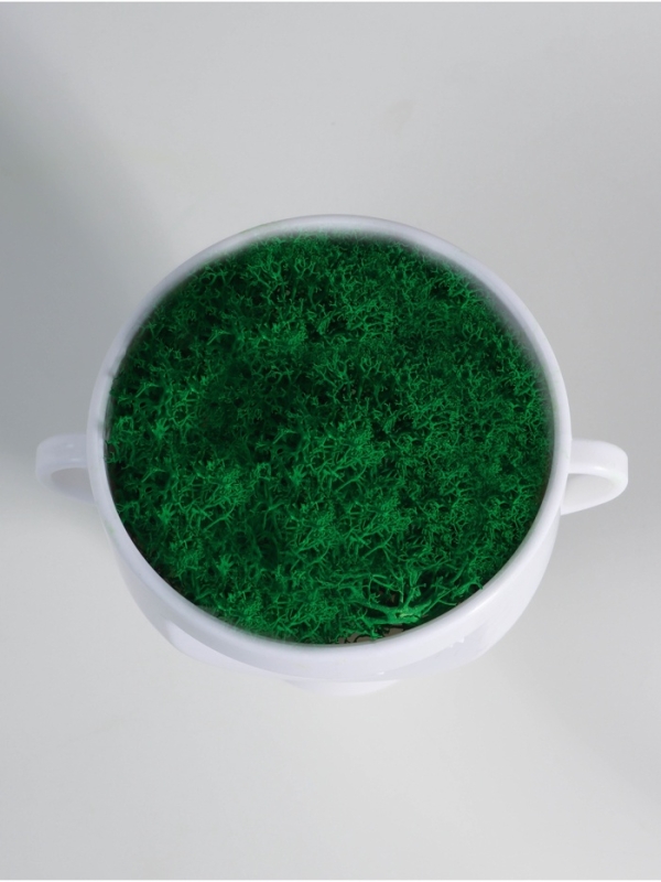 Кашпо пластиковое Кашпо пластиковое "Чаша" 10,5*9*11,5 см белый