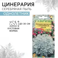 Семена цветов Цинерария приморская "Серебряная пыль", ц/п, 0,05 г