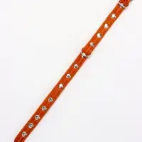 Ошейник кожаный однослойный украшенный, 1,2 см, ОШ 20-26 см микс цветов Ошейник кожаный однослойный украшенный, 1,2 см, ОШ 20-26 см микс цветов