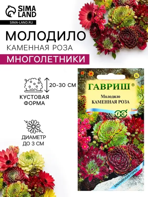 Семена цветов Молодило &laquo;Каменная Роза&raquo;, 0.01 г, &laquo;Гавриш&raquo;