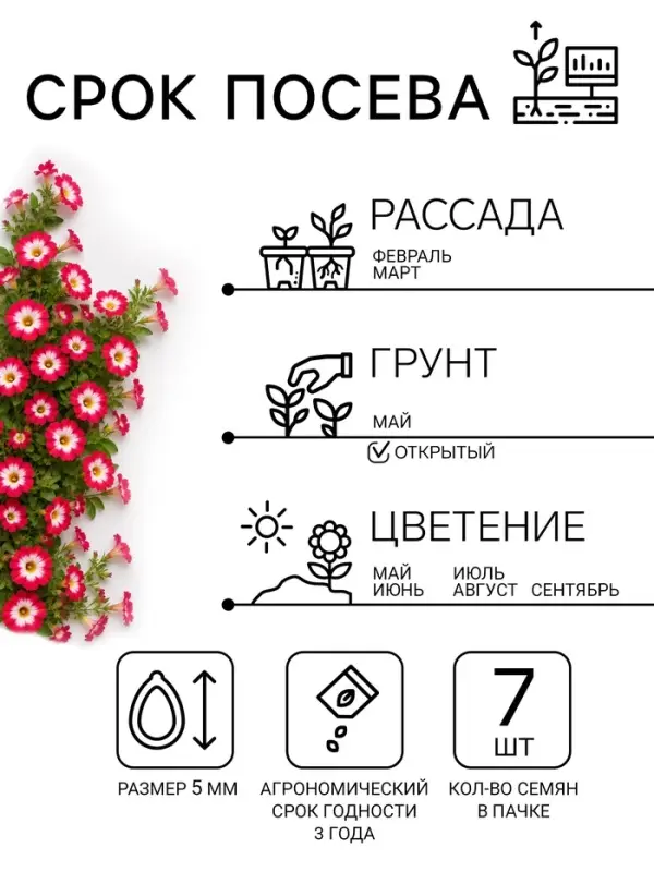 Семена цветов Петуния "Городская", F1, утренняя, драже в пробирке, 7 шт