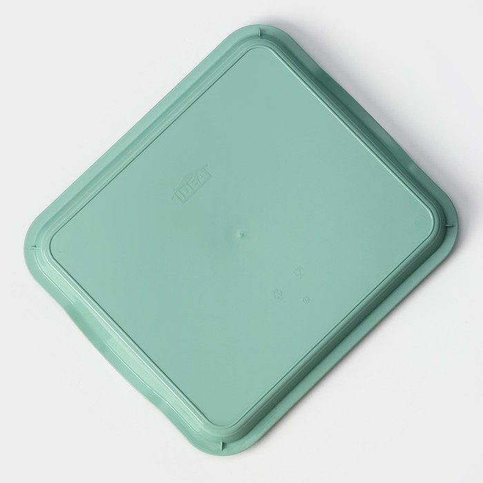 Поднос пластиковый, 25×29×3,2 см, цвет фисташковый Поднос пластиковый, 25×29×3,2 см, цвет фисташковый