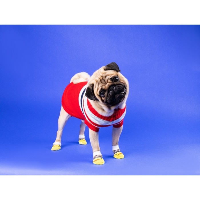 Свитер Свитер "Полоски", M (ДС 26, ОШ 26, ОГ 28-46 см), красный