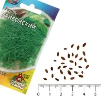Семена укроп &laquo;Грибовский&raquo;, 2 г