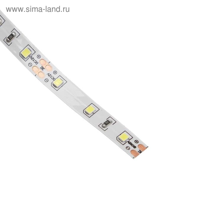 Светодиодная лента Ecola PRO 5 м, IP20, SMD2835, 60 LED/м, 8 Вт/м, 12 В, 6000К Светодиодная лента Ecola PRO 5 м, IP20, SMD2835, 60 LED/м, 8 Вт/м, 12 В, 6000К