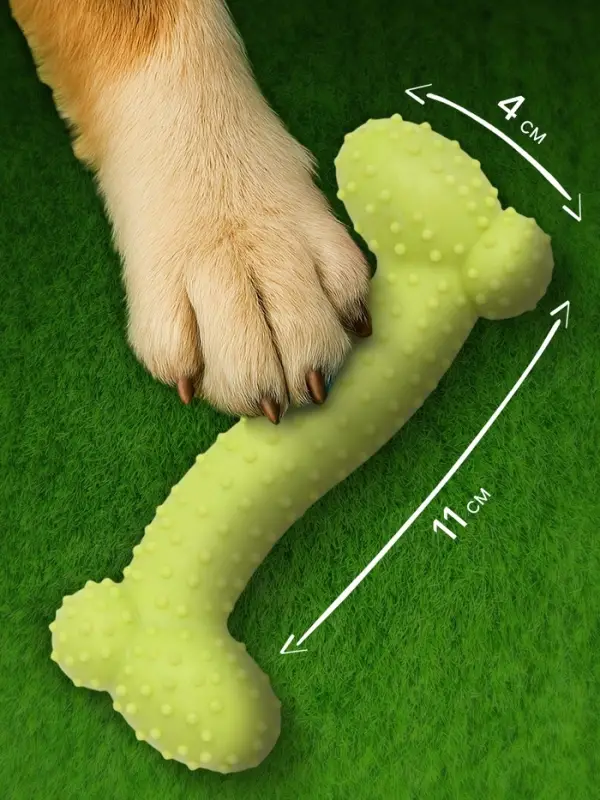 Жевательная игрушка для собак &laquo;Любимое лакомство&raquo;, 11&times;4 см, TPR, салатовая