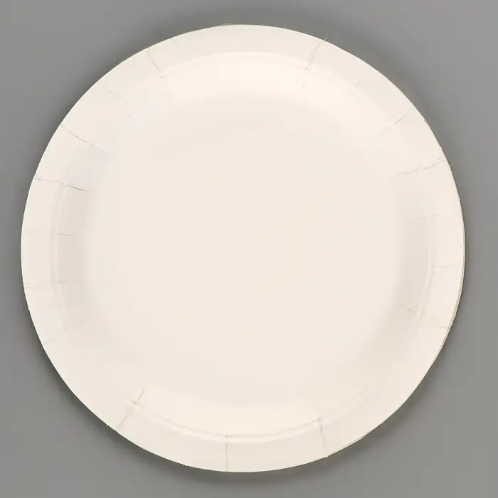 Тарелки бумажные одноразовые «Счастливый цыплёнок», 6 шт.