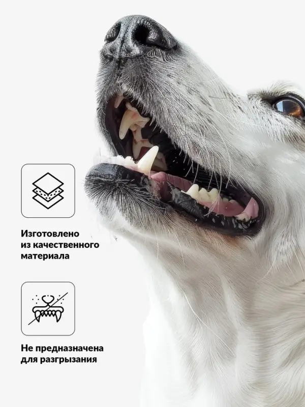 Игрушка для собак &laquo;Стейк с кровью&raquo;, 10.5 см, пищащая, винил, цвет МИКС