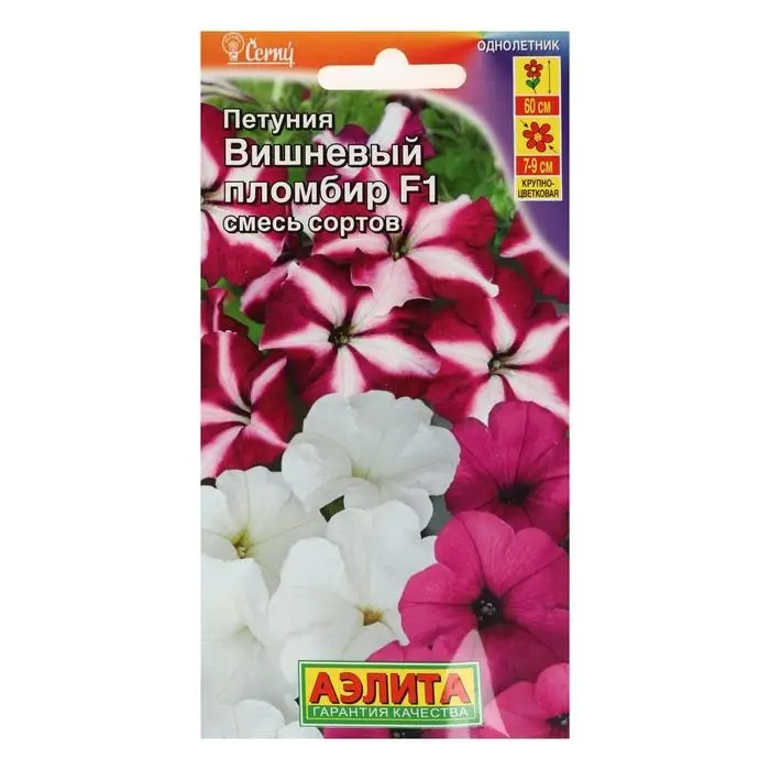 Семена Петуния Вишневый пломбир F1 крупноцветковая ампельная, смесь окрасок, 7 шт., Семена Петуния Вишневый пломбир F1 крупноцветковая ампельная, смесь окрасок, 7 шт.,