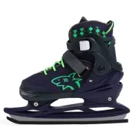 Коньки раздвижные BlackAqua, р. 35-38, для фитнеса, синие, зелёные Коньки раздвижные BlackAqua, р. 35-38, для фитнеса, синие, зелёные