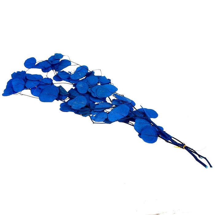 Сухоцвет персикого дерева, 50 г, длина — 70 см, цвет синий Сухоцвет персикого дерева, 50 г, длина — 70 см, цвет синий