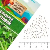 Семена Сельдерей &laquo;Листовой&raquo;, 0.5 г, &laquo;Рецепты дедушки Никиты&raquo;