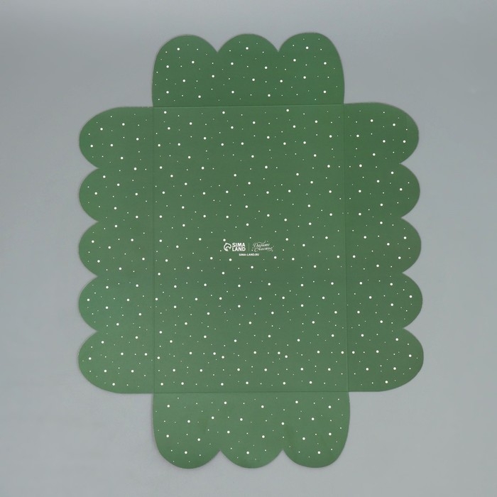 Коробка подарочная с PVC крышкой «Уютного нового года!», ёлочка, 20 х 30 х 8 см, Новый год Коробка подарочная с PVC крышкой «Уютного нового года!», ёлочка, 20 х 30 х 8 см, Новый год