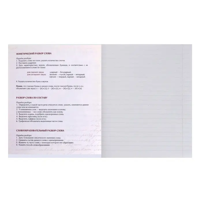 Тетрадь предметная 36 листов в клетку Calligrata «Животные мемы. Русский язык», картонная обложка, серые листы Тетрадь предметная 36 листов в клетку Calligrata «Животные мемы. Русский язык», картонная обложка, серые листы