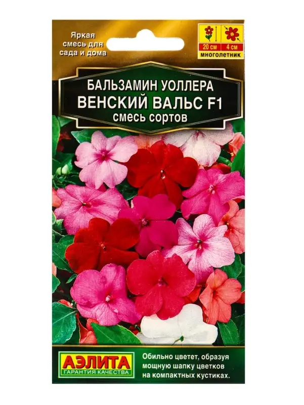 Семена цветов Бальзамин Венский вальс F1, смесь сортов Золотая серия, Ц/П,5 шт. Семена цветов Бальзамин Венский вальс F1, смесь сортов Золотая серия, Ц/П,5 шт.