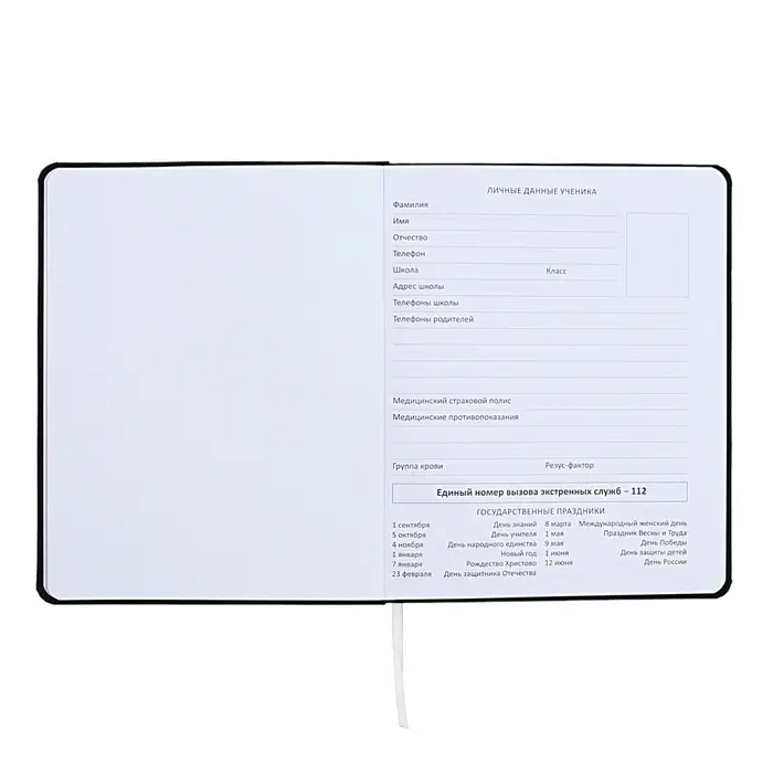 Дневник универсальный для 1-11 класса "Учусь по графику", интегральная обложка, искусственная кожа, шелкография, ляссе, 80 г/м2
