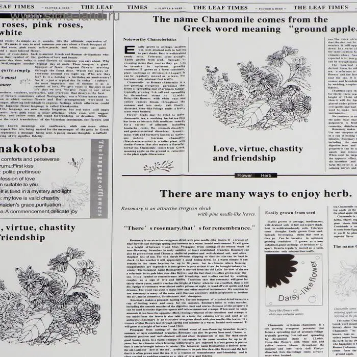 Плёнка матовая «Флористическая статья» белый, 57×57 см ±5% см