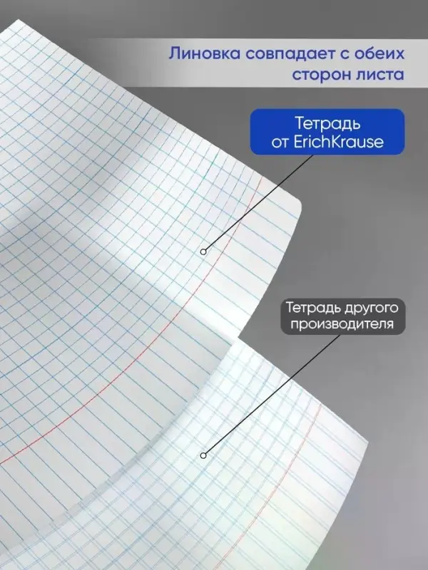 Тетрадь 18 листов в клетку ErichKrause Bright &laquo;Классика&raquo;, МИКС